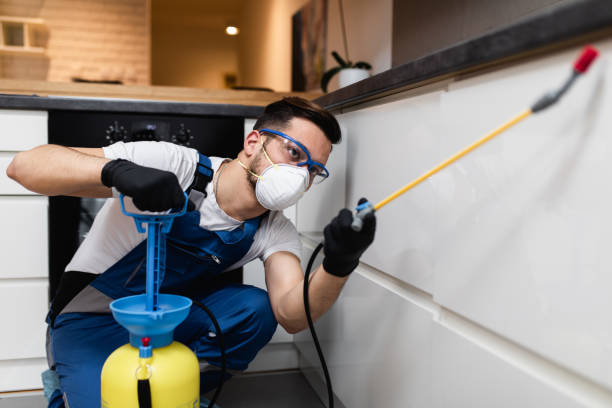 Trusted North Decatur, GA Pest Control Experts