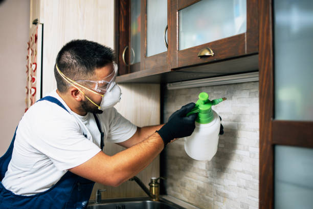 Pest Control for Restaurants in North Decatur, GA