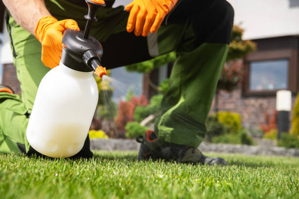 Best Commercial Pest Control Services  in North Decatur, GA