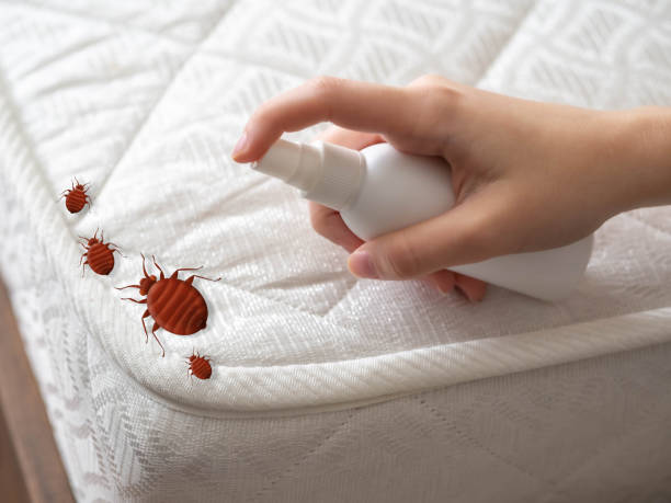  North Decatur, GA Pest Control Pros
