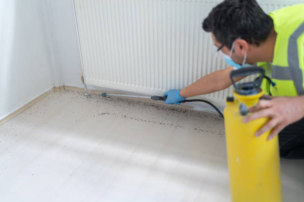 Best Pest Prevention Services  in North Decatur, GA