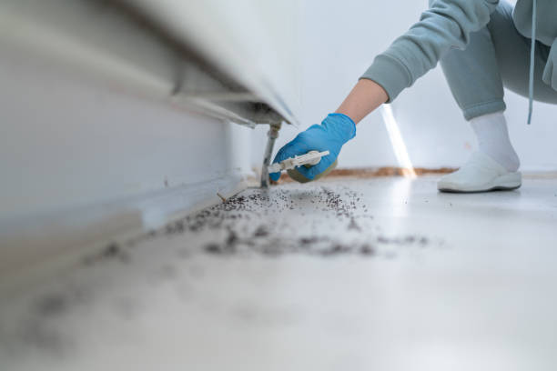 Best Bed Bug Extermination  in North Decatur, GA