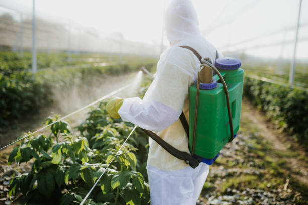 Best Affordable Pest Control Services  in North Decatur, GA